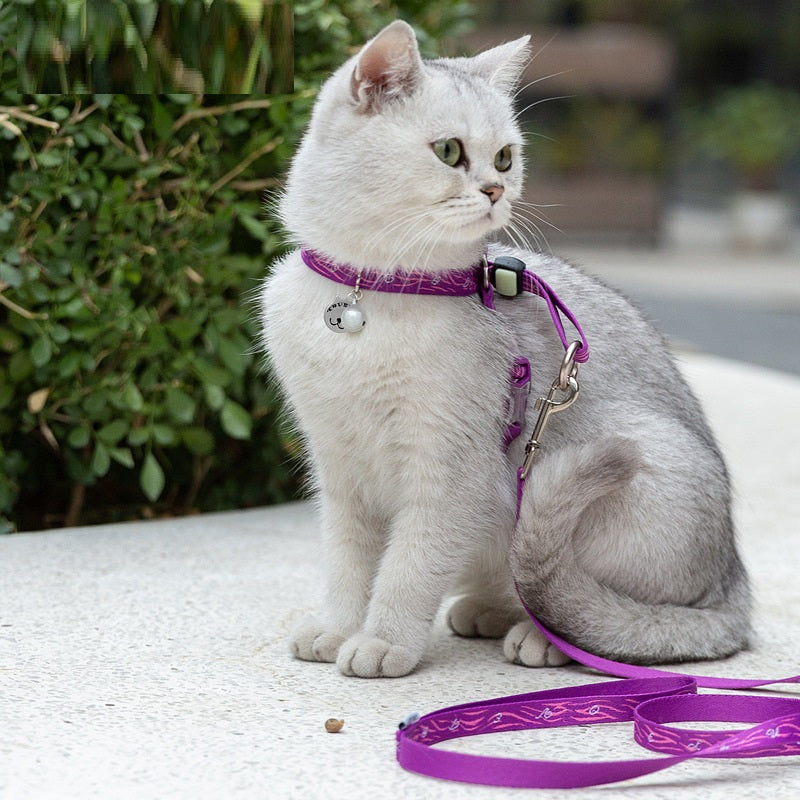 Pet Bell Chest Strap Haulage Rope Package