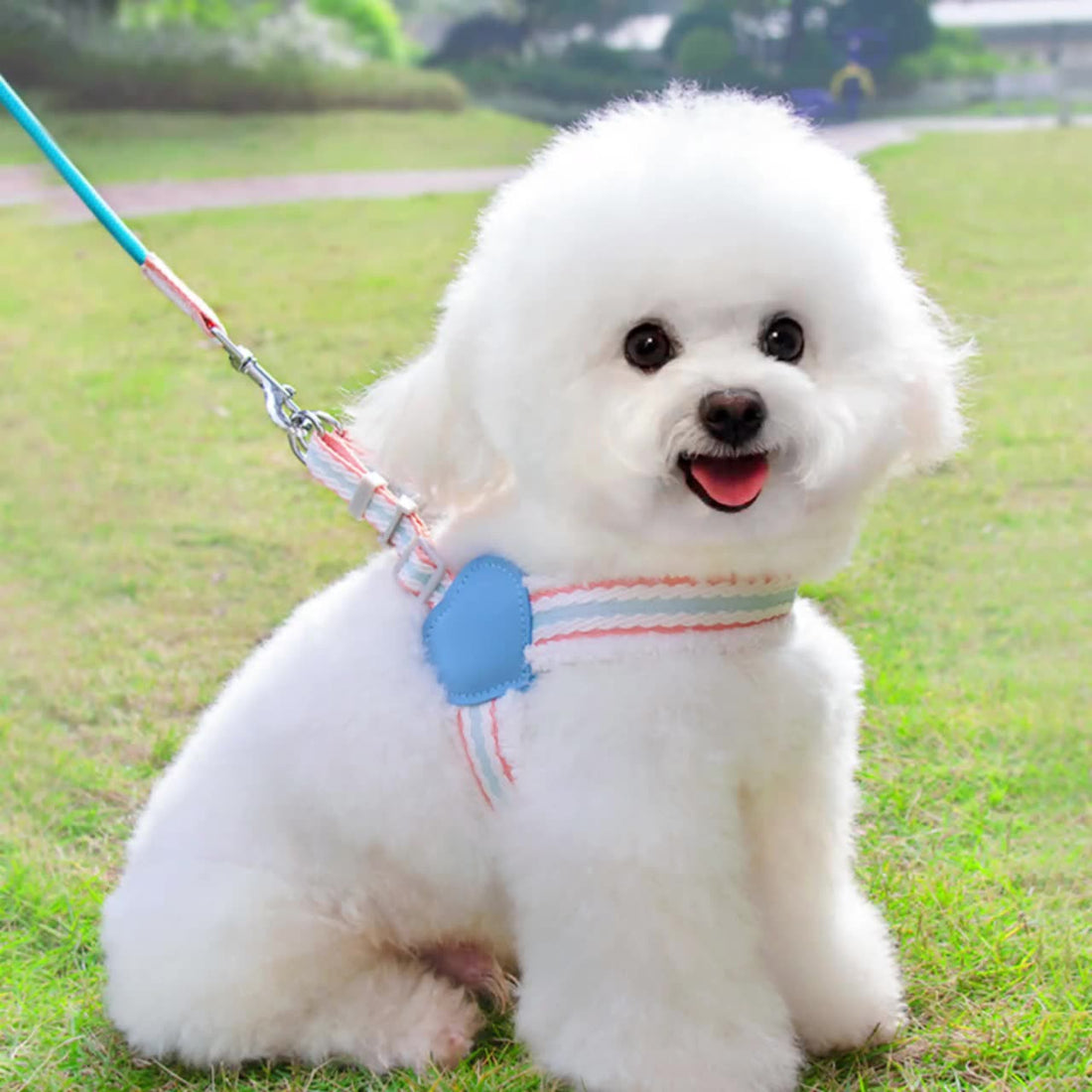 Summer Breathable Pet Chest Vest Leash Soft Adjustable Walking Harness