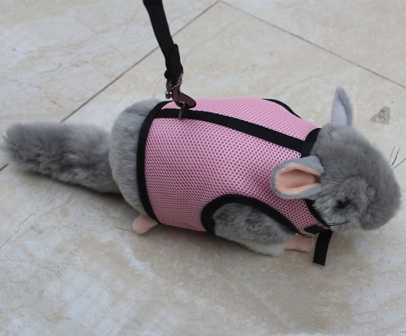 Small Pet Leash Durable Adjustable Walking Strap