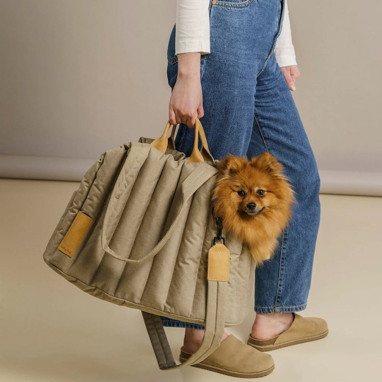 Lightweight Waterproof Pet Carrier Bag Portable Travel Handbag