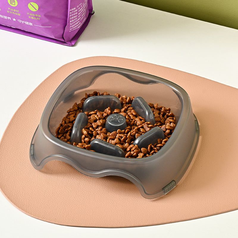 Pet Slow Feeding Bowl Anti Choking Water Food Feeder