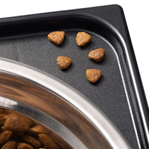 Elevated Pet Feeding Bowl With Neck Protection Anti Tumble Design