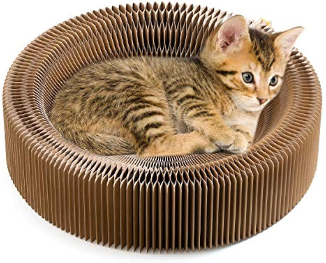 Collapsible Round Pet Scratcher Bed Cardboard Lounge Cushion Nest