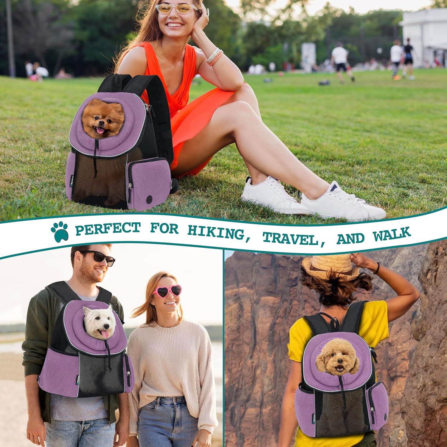 Portable Pet Carrier Backpack Breathable Travel Bag for Pets