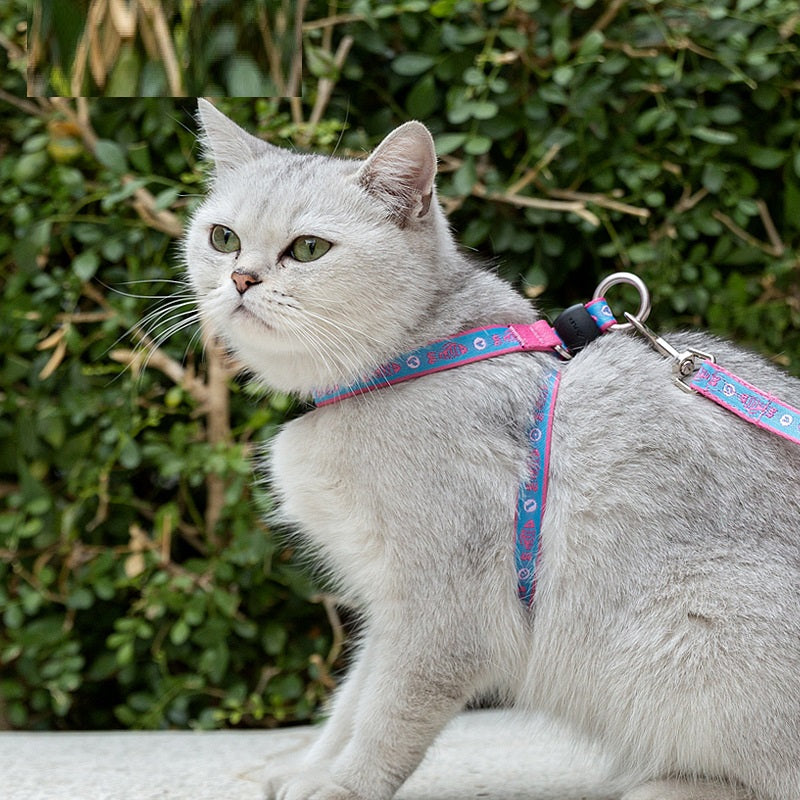 Pet Bell Chest Strap Haulage Rope Package