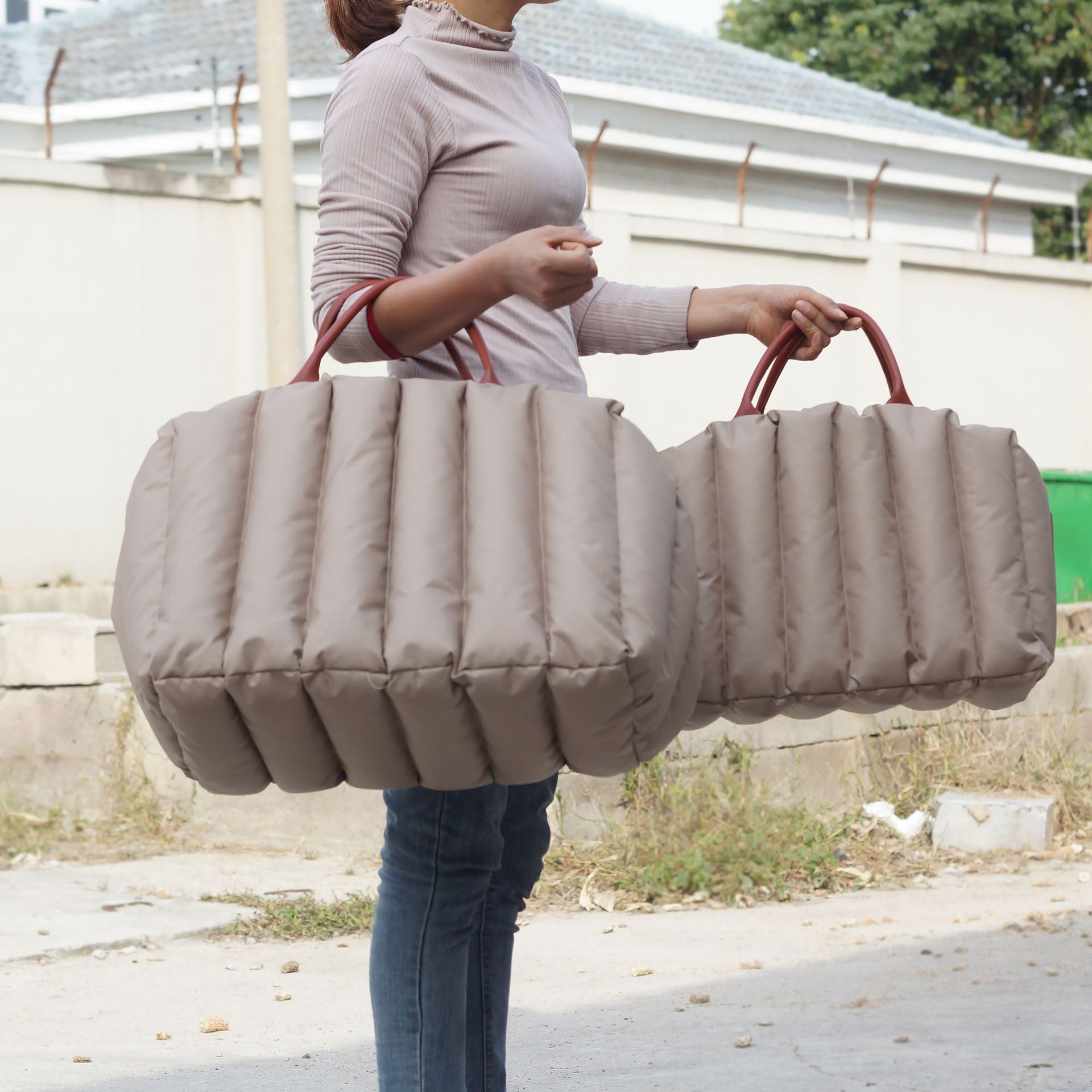 Portable Pet Travel Carrier for Car Use