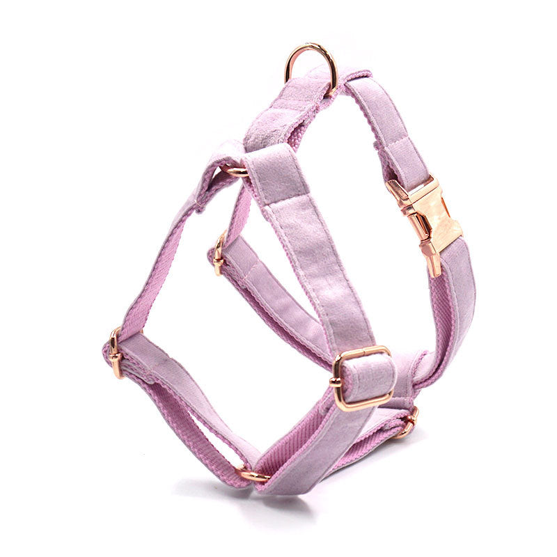 Dark Grey Velvet Pet Collar With Leash