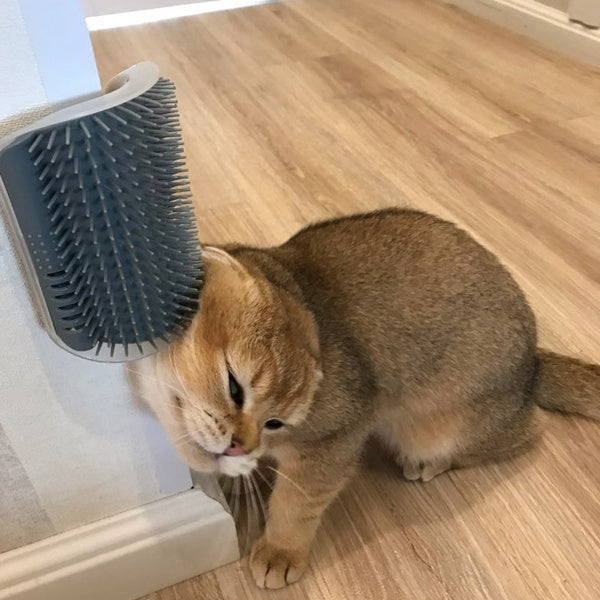 Self-Grooming Brush Pet Wall Rubbing Device