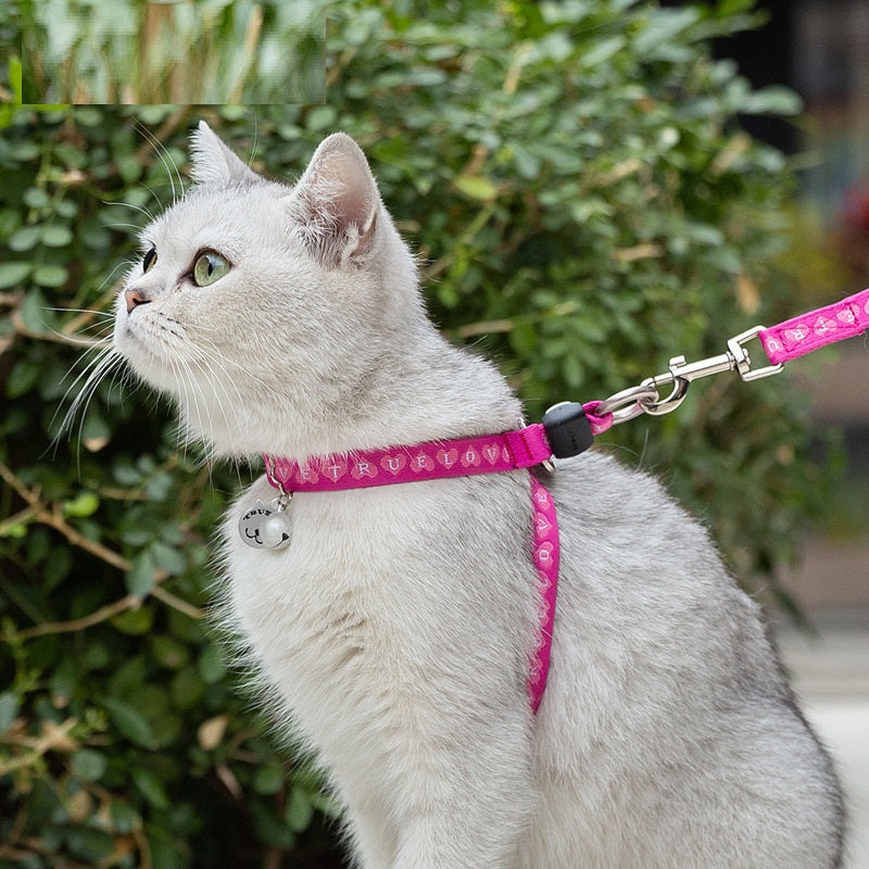 Pet Bell Chest Strap Haulage Rope Package