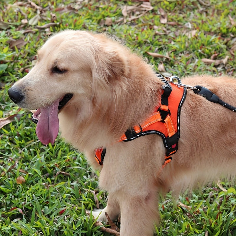 High-Quality Explosion-Proof Pet Leash Chest Strap For Medium Pets